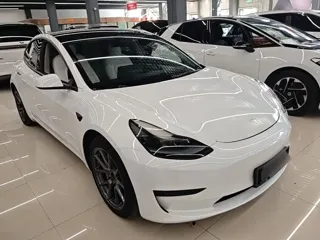 Tesla Model 3 2021 купить из Китая, цена 4 559 000 ₽ — Suifenhe Auto