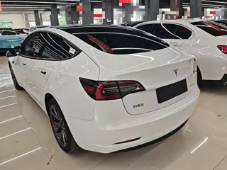 Tesla Model 3 2021 купить из Китая, цена 4 559 000 ₽ — Suifenhe Auto