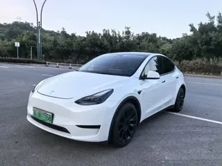 Tesla Model Y 2023 купить из Китая, цена 4 504 000 ₽ — Suifenhe Auto