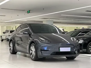 Tesla Model Y 2023 купить из Китая, цена 5 097 000 ₽ — Suifenhe Auto