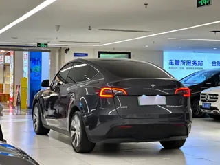 Tesla Model Y 2023 купить из Китая, цена 5 097 000 ₽ — Suifenhe Auto