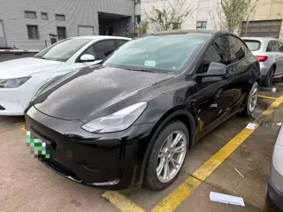 Tesla Model Y 2023 купить из Китая, цена 5 224 000 ₽ — Suifenhe Auto