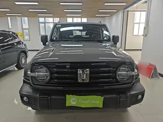 Tank 300 2022 купить из Китая, цена 4 325 000 ₽ — Suifenhe Auto