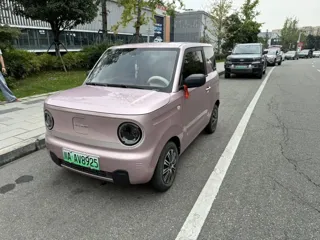 Galaxy Panda 2023 купить из Китая, цена 891 000 ₽ — Suifenhe Auto