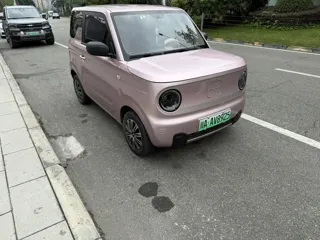 Galaxy Panda 2023 купить из Китая, цена 891 000 ₽ — Suifenhe Auto
