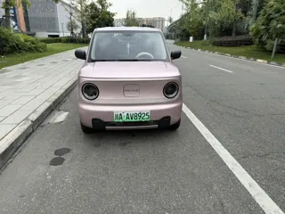 Galaxy Panda 2023 купить из Китая, цена 891 000 ₽ — Suifenhe Auto