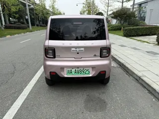 Galaxy Panda 2023 купить из Китая, цена 891 000 ₽ — Suifenhe Auto