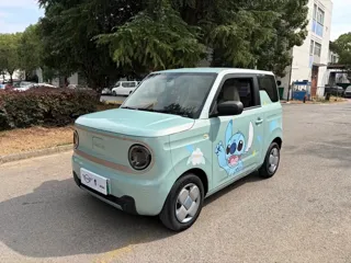 Galaxy Panda 2023 купить из Китая, цена 839 000 ₽ — Suifenhe Auto