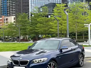 BMW 2 Series 2019 купить из Китая, цена 1 586 000 ₽ — Suifenhe Auto