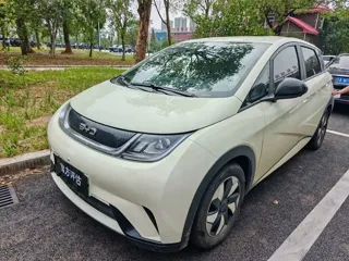 BYD Dolphin 2025 купить из Китая, цена 1 521 000 ₽ — Suifenhe Auto