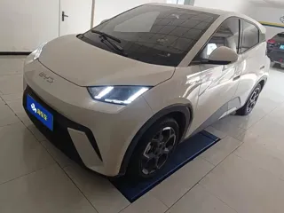 BYD Seagull 2025 купить из Китая, цена 1 363 000 ₽ — Suifenhe Auto