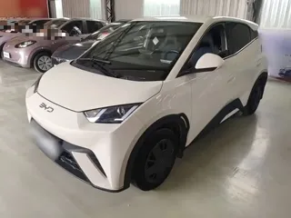 BYD Seagull 2025 купить из Китая, цена 1 291 000 ₽ — Suifenhe Auto