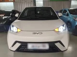 BYD Seagull 2025 купить из Китая, цена 1 291 000 ₽ — Suifenhe Auto