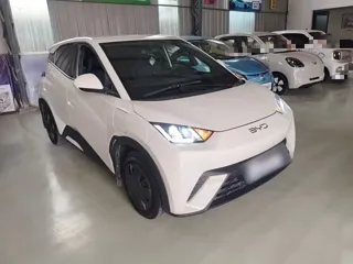 BYD Seagull 2025 купить из Китая, цена 1 291 000 ₽ — Suifenhe Auto