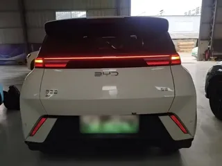 BYD Seagull 2025 купить из Китая, цена 1 291 000 ₽ — Suifenhe Auto