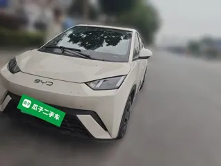 BYD Seagull 2025 купить из Китая, цена 1 347 000 ₽ — Suifenhe Auto