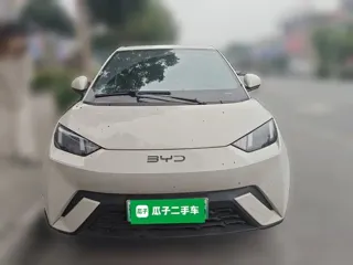 BYD Seagull 2025 купить из Китая, цена 1 347 000 ₽ — Suifenhe Auto
