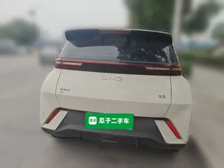 BYD Seagull 2025 купить из Китая, цена 1 347 000 ₽ — Suifenhe Auto