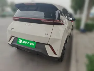 BYD Seagull 2025 купить из Китая, цена 1 347 000 ₽ — Suifenhe Auto