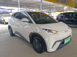 BYD Seagull 2024 купить из Китая, цена 1 267 000 ₽ — Suifenhe Auto