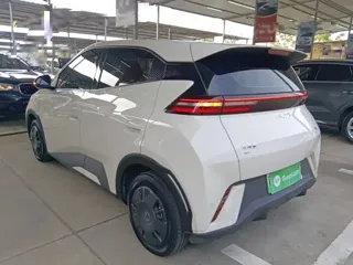 BYD Seagull 2024 купить из Китая, цена 1 267 000 ₽ — Suifenhe Auto