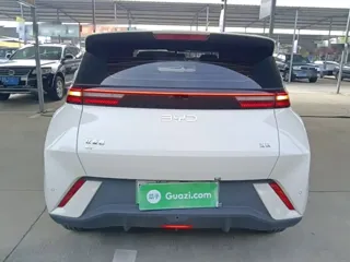BYD Seagull 2024 купить из Китая, цена 1 267 000 ₽ — Suifenhe Auto
