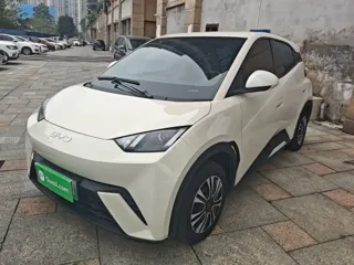 BYD Seagull 2025 купить из Китая, цена 1 343 000 ₽ — Suifenhe Auto