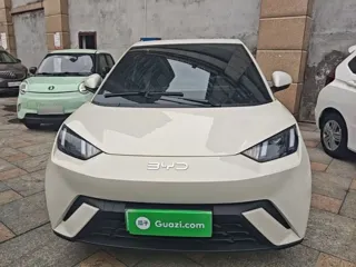 BYD Seagull 2025 купить из Китая, цена 1 343 000 ₽ — Suifenhe Auto