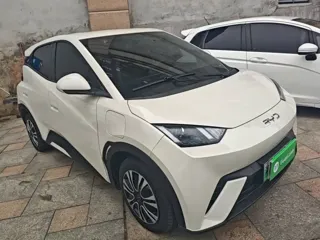 BYD Seagull 2025 купить из Китая, цена 1 343 000 ₽ — Suifenhe Auto
