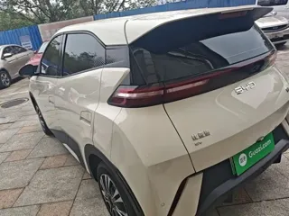BYD Seagull 2025 купить из Китая, цена 1 343 000 ₽ — Suifenhe Auto