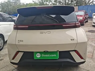 BYD Seagull 2025 купить из Китая, цена 1 343 000 ₽ — Suifenhe Auto