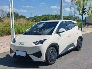 BYD Seagull 2025 купить из Китая, цена 1 293 000 ₽ — Suifenhe Auto