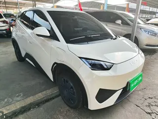 BYD Seagull 2026 купить из Китая, цена 1 409 000 ₽ — Suifenhe Auto