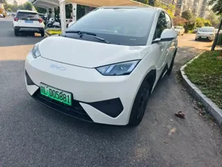 BYD Seagull 2025 купить из Китая, цена 1 297 000 ₽ — Suifenhe Auto
