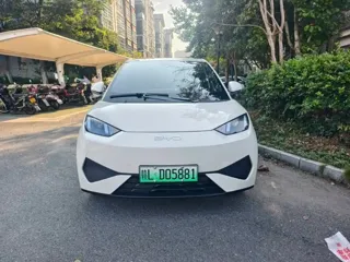 BYD Seagull 2025 купить из Китая, цена 1 297 000 ₽ — Suifenhe Auto