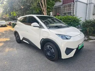 BYD Seagull 2025 купить из Китая, цена 1 297 000 ₽ — Suifenhe Auto