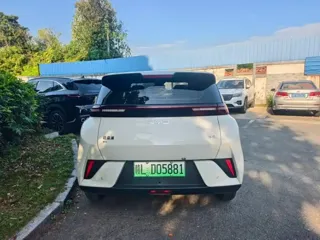 BYD Seagull 2025 купить из Китая, цена 1 297 000 ₽ — Suifenhe Auto