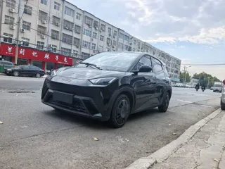 BYD Seagull 2025 купить из Китая, цена 1 262 000 ₽ — Suifenhe Auto