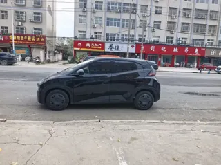 BYD Seagull 2025 купить из Китая, цена 1 262 000 ₽ — Suifenhe Auto
