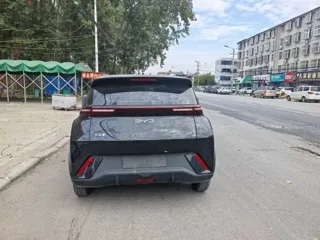 BYD Seagull 2025 купить из Китая, цена 1 262 000 ₽ — Suifenhe Auto