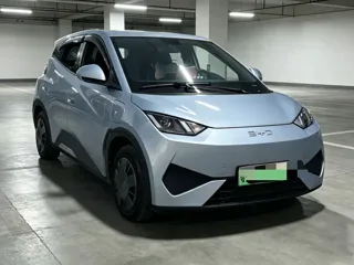 BYD Seagull 2025 купить из Китая, цена 1 241 000 ₽ — Suifenhe Auto