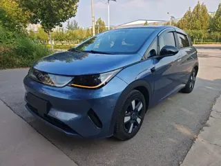 BYD Dolphin 2025 купить из Китая, цена 2 789 000 ₽ — Suifenhe Auto