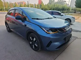 BYD Dolphin 2025 купить из Китая, цена 2 789 000 ₽ — Suifenhe Auto