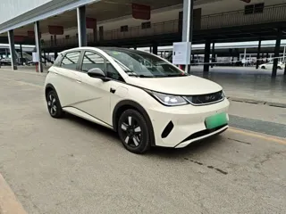 BYD Dolphin 2026 купить из Китая, цена 2 905 000 ₽ — Suifenhe Auto