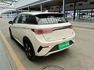 BYD Dolphin 2026 купить из Китая, цена 2 905 000 ₽ — Suifenhe Auto