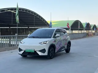 BYD Seagull 2025 купить из Китая, цена 1 414 000 ₽ — Suifenhe Auto