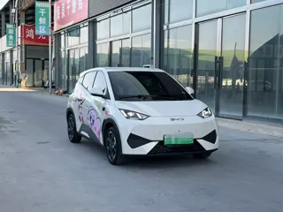 BYD Seagull 2025 купить из Китая, цена 1 414 000 ₽ — Suifenhe Auto