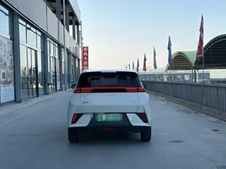 BYD Seagull 2025 купить из Китая, цена 1 414 000 ₽ — Suifenhe Auto