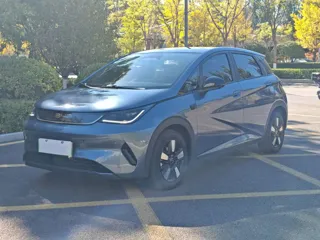 BYD Dolphin 2025 купить из Китая, цена 2 747 000 ₽ — Suifenhe Auto