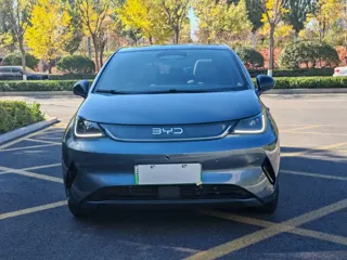 BYD Dolphin 2025 купить из Китая, цена 2 747 000 ₽ — Suifenhe Auto
